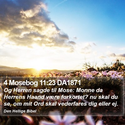 4 Mosebog 11:23 DA1871 Bible Verse Image
