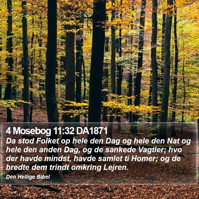 4 Mosebog 11:32 DA1871 Bible Verse Image