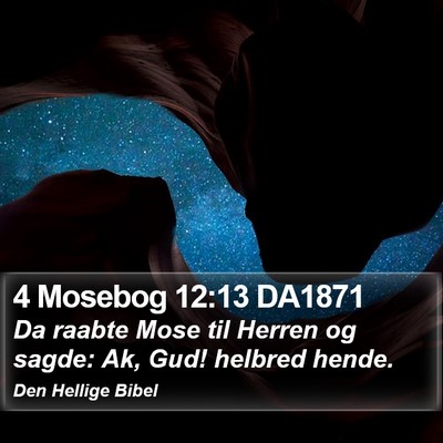 4 Mosebog 12:13 DA1871 Bible Verse Image