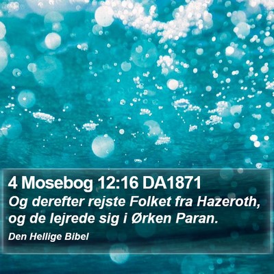 4 Mosebog 12:16 DA1871 Bible Verse Image