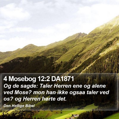 4 Mosebog 12:2 DA1871 Bible Verse Image