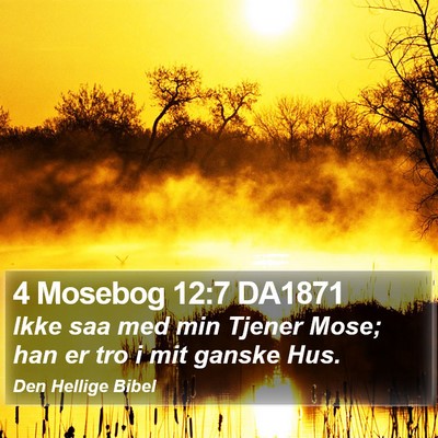 4 Mosebog 12:7 DA1871 Bible Verse Image