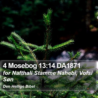 4 Mosebog 13:14 DA1871 Bible Verse Image