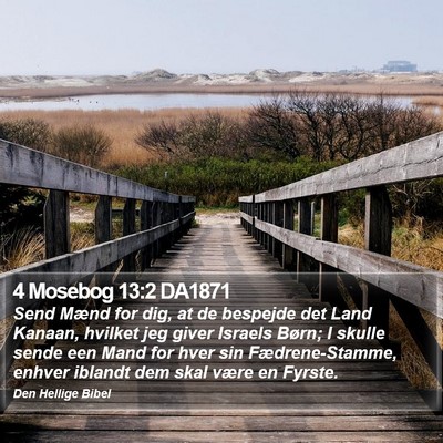 4 Mosebog 13:2 DA1871 Bible Verse Image