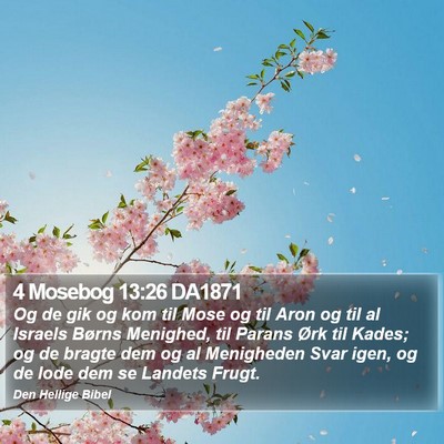 4 Mosebog 13:26 DA1871 Bible Verse Image