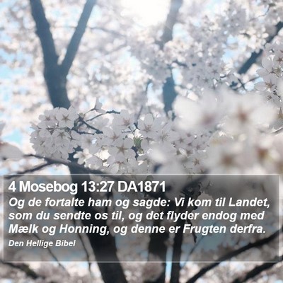 4 Mosebog 13:27 DA1871 Bible Verse Image