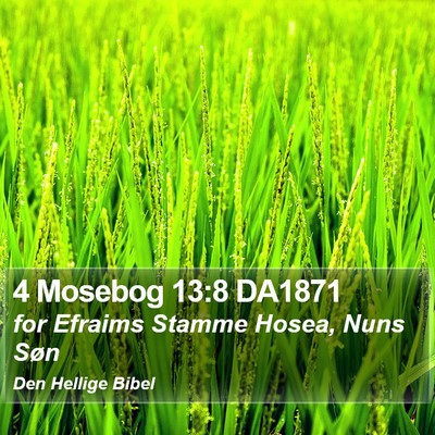 4 Mosebog 13:8 DA1871 Bible Verse Image
