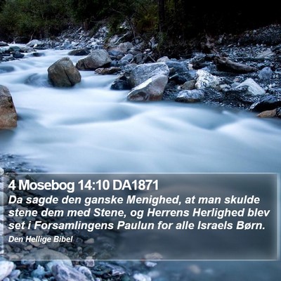 4 Mosebog 14:10 DA1871 Bible Verse Image