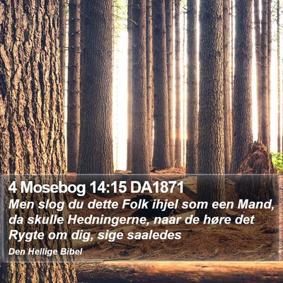 4 Mosebog 14:15 DA1871 Bible Verse Image