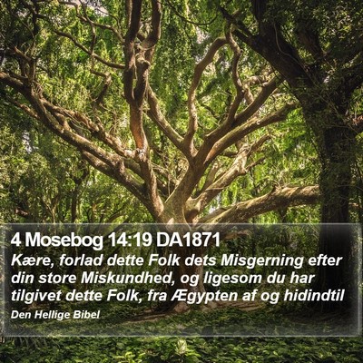4 Mosebog 14:19 DA1871 Bible Verse Image