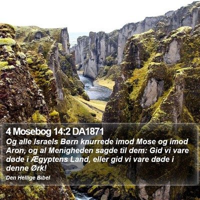 4 Mosebog 14:2 DA1871 Bible Verse Image