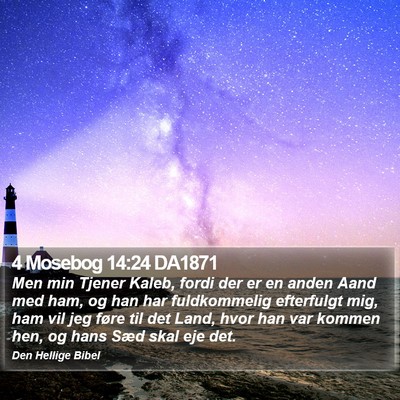 4 Mosebog 14:24 DA1871 Bible Verse Image