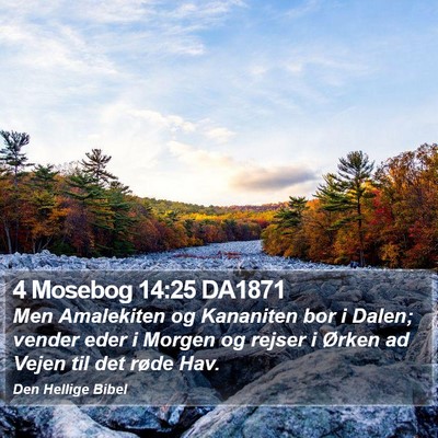4 Mosebog 14:25 DA1871 Bible Verse Image