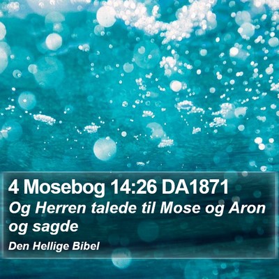 4 Mosebog 14:26 DA1871 Bible Verse Image