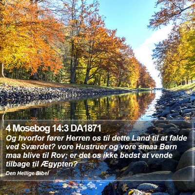 4 Mosebog 14:3 DA1871 Bible Verse Image