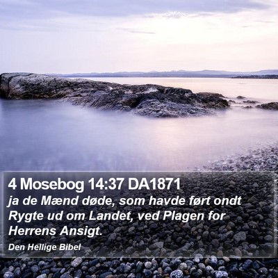 4 Mosebog 14:37 DA1871 Bible Verse Image