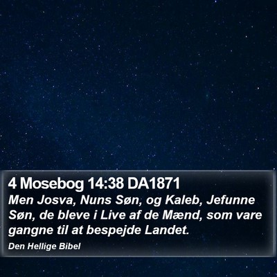 4 Mosebog 14:38 DA1871 Bible Verse Image
