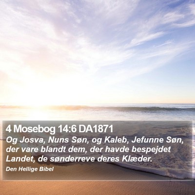 4 Mosebog 14:6 DA1871 Bible Verse Image