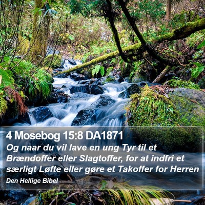 4 Mosebog 15:8 DA1871 Bible Verse Image