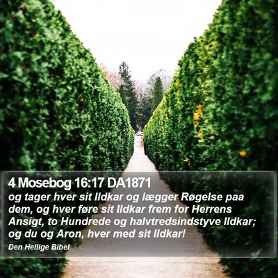 4 Mosebog 16:17 DA1871 Bible Verse Image