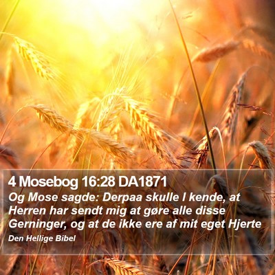 4 Mosebog 16:28 DA1871 Bible Verse Image