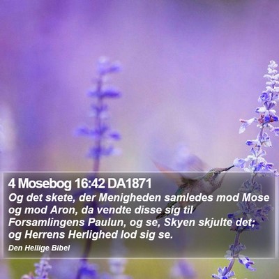 4 Mosebog 16:42 DA1871 Bible Verse Image