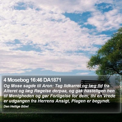 4 Mosebog 16:46 DA1871 Bible Verse Image