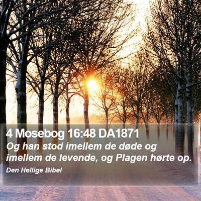 4 Mosebog 16:48 DA1871 Bible Verse Image