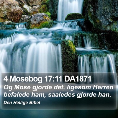 4 Mosebog 17:11 DA1871 Bible Verse Image