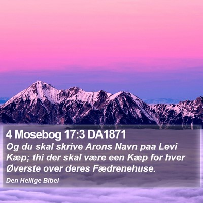 4 Mosebog 17:3 DA1871 Bible Verse Image