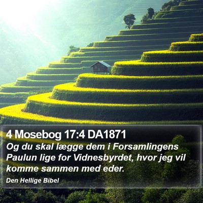 4 Mosebog 17:4 DA1871 Bible Verse Image