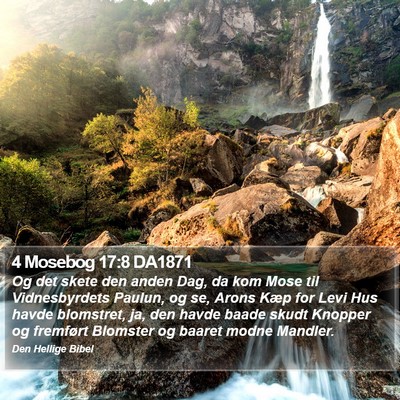 4 Mosebog 17:8 DA1871 Bible Verse Image