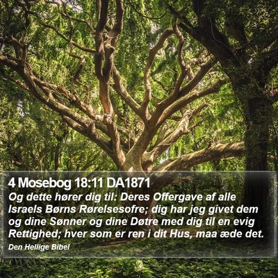 4 Mosebog 18:11 DA1871 Bible Verse Image