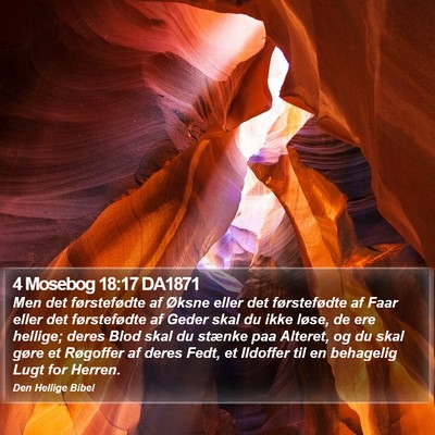 4 Mosebog 18:17 DA1871 Bible Verse Image