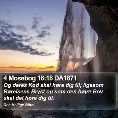 4 Mosebog 18:18 DA1871 Bible Verse Image
