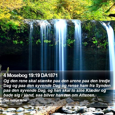 4 Mosebog 19:19 DA1871 Bible Verse Image