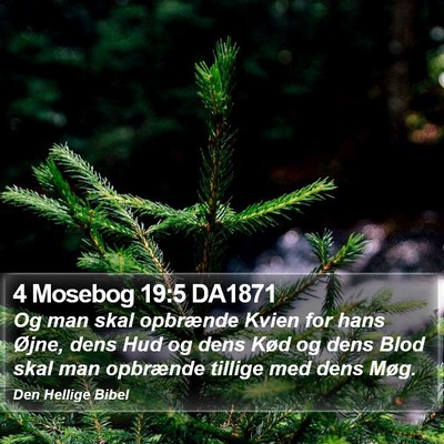 4 Mosebog 19:5 DA1871 Bible Verse Image