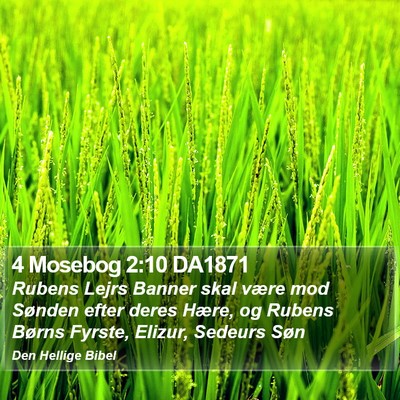 4 Mosebog 2:10 DA1871 Bible Verse Image