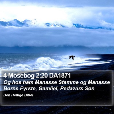 4 Mosebog 2:20 DA1871 Bible Verse Image