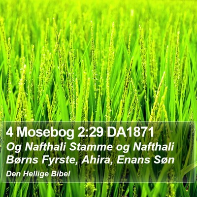 4 Mosebog 2:29 DA1871 Bible Verse Image