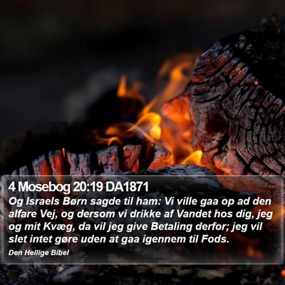 4 Mosebog 20:19 DA1871 Bible Verse Image