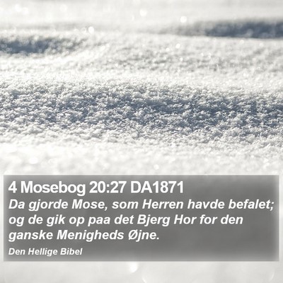 4 Mosebog 20:27 DA1871 Bible Verse Image