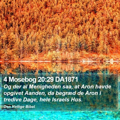 4 Mosebog 20:29 DA1871 Bible Verse Image