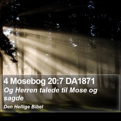 4 Mosebog 20:7 DA1871 Bible Verse Image
