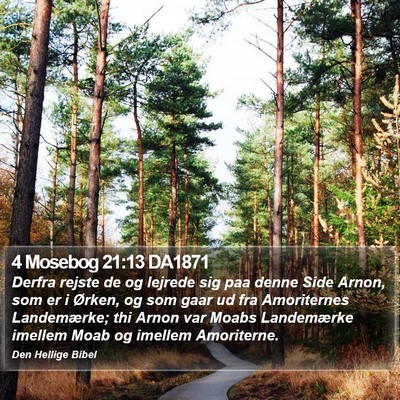 4 Mosebog 21:13 DA1871 Bible Verse Image