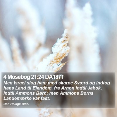 4 Mosebog 21:24 DA1871 Bible Verse Image
