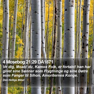 4 Mosebog 21:29 DA1871 Bible Verse Image