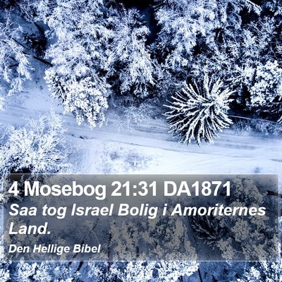 4 Mosebog 21:31 DA1871 Bible Verse Image