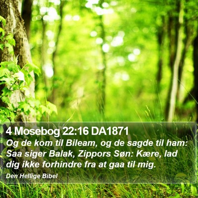 4 Mosebog 22:16 DA1871 Bible Verse Image