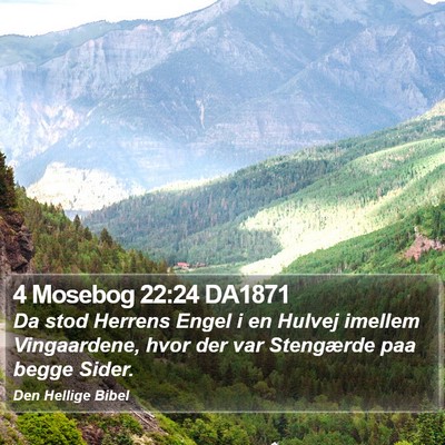 4 Mosebog 22:24 DA1871 Bible Verse Image